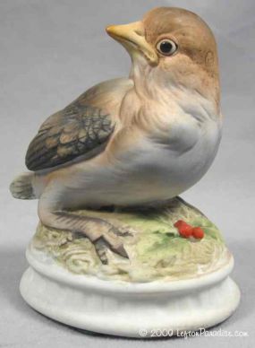 Baby Snowbird - KW1637